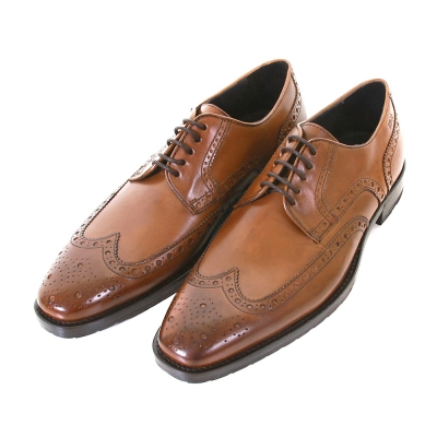 Dress Leather Shoes